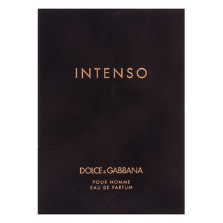 Dolce  Gabbana Pour Homme Intenso parfémovaná voda pre mužov 125 ml